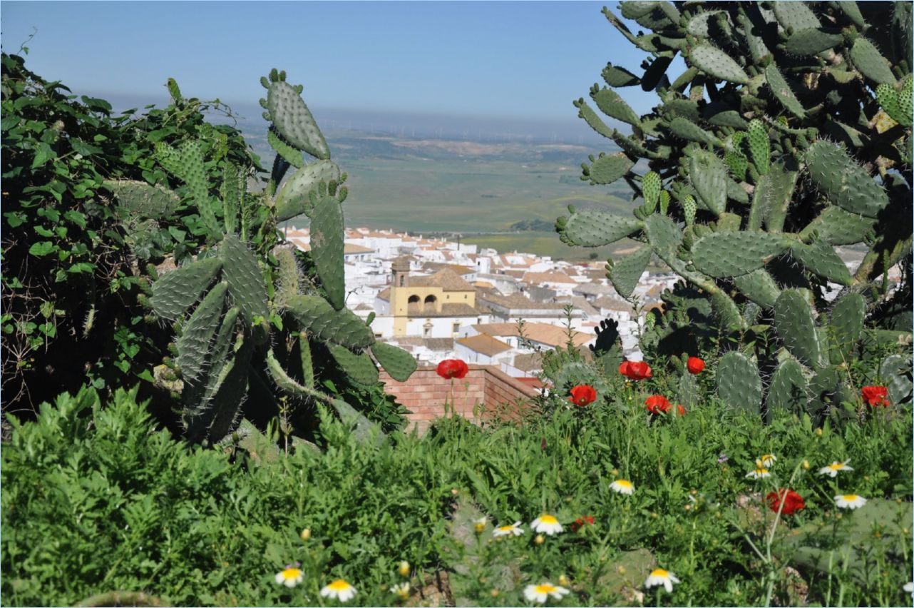 185-Medina Sidonia